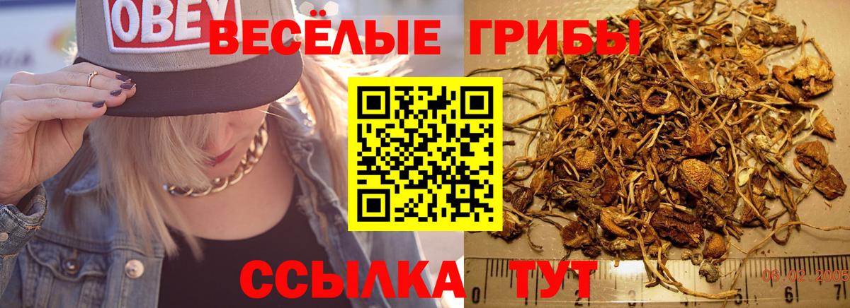 Обнинск  Псилоцибиновые грибы GOLDEN TEACHER  Галлюциногенные грибы Magic Shrooms  Вход с VPN 
