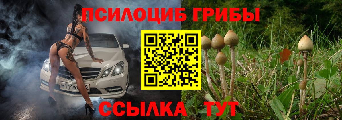 Псилоцибиновые грибы ЛСД Обнинск